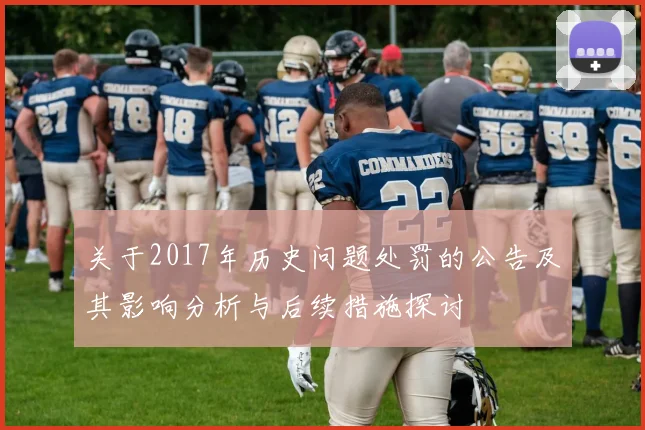 关于2017年历史问题处罚的公告及其影响分析与后续措施探讨